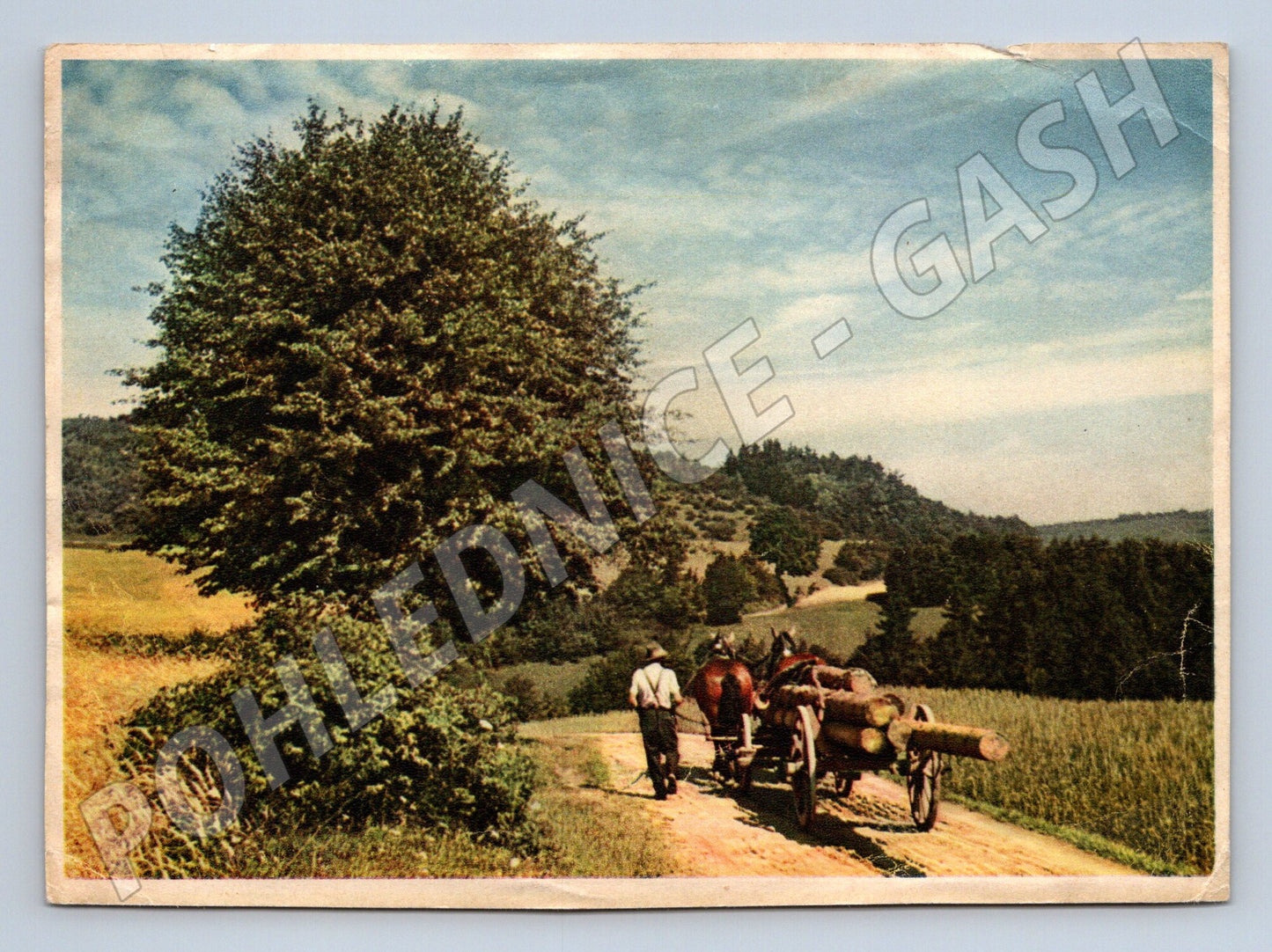 Pohlednice 1948 koňský povoz venkovská cesta (M10067)