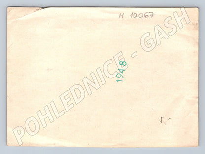 Pohlednice 1948 koňský povoz venkovská cesta (M10067)