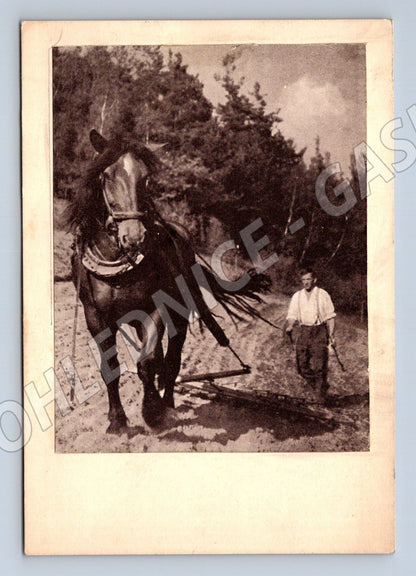 Pohlednice oráč s koněm černobílá nepoužitá (M10068)