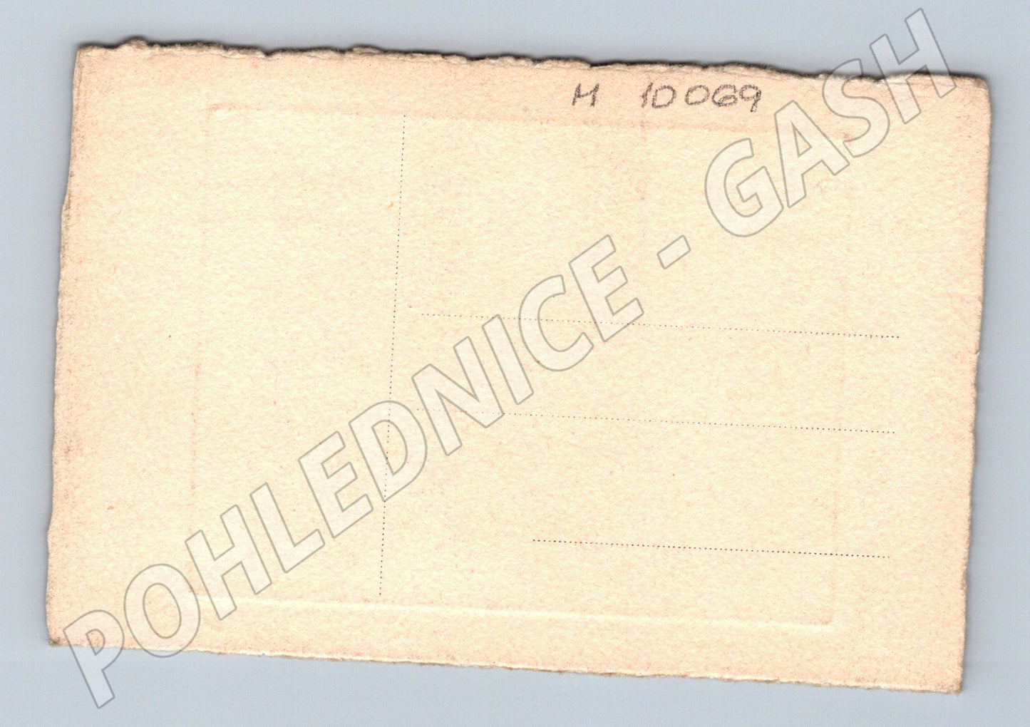 Pohlednice portrét dvou koní kresba (M10069)