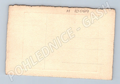 Pohlednice portrét dvou koní kresba (M10069)