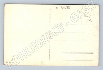 Pohlednice umělecký portrét koně Švýcarsko (M10070)