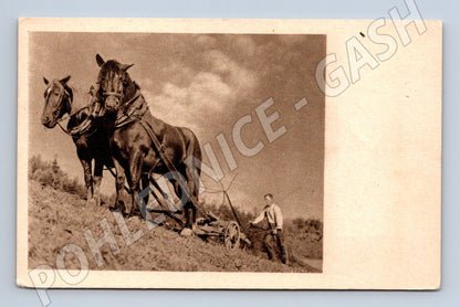 Pohlednice koně při práci na poli zemědělství (M10072)
