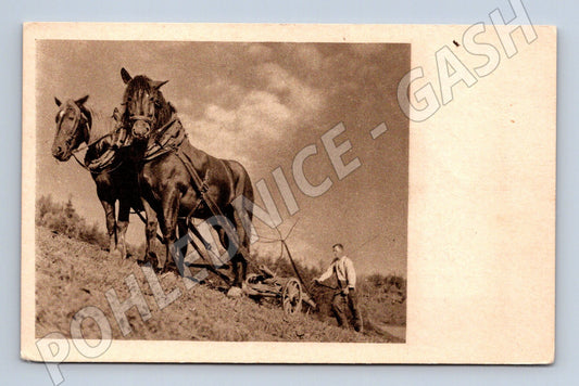 Pohlednice koně při práci na poli zemědělství (M10072)