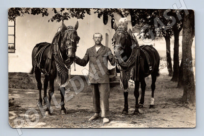 Pohlednice muž se dvěma koňmi venkov Strejda Jenda (M10073)