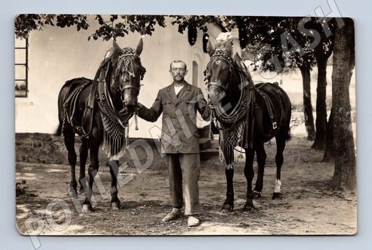 Pohlednice muž se dvěma koňmi venkov Strejda Jenda (M10073)