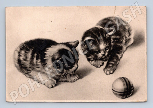 Retro pohlednice dvě koťata Rusko 1958 (M10074)