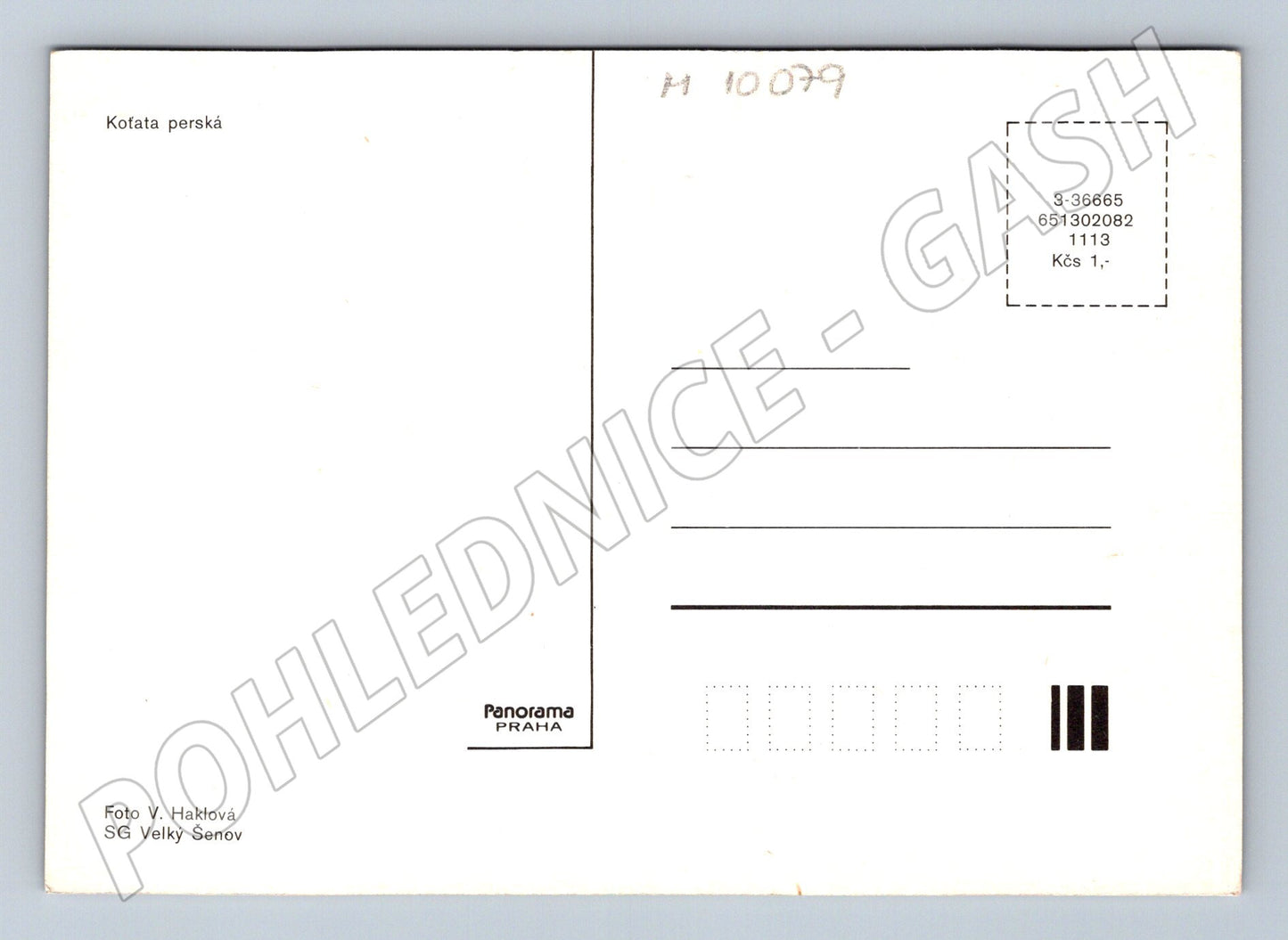 Pohlednice perská koťata Panorama Praha (M10079)