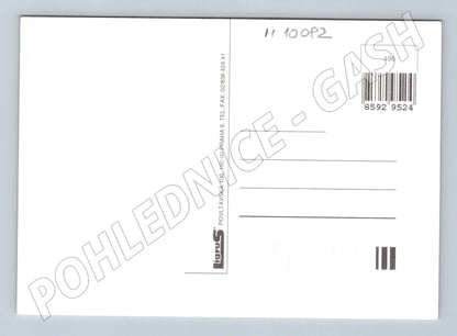 Pohlednice štěně pes Chybíš mi ve květináči (M10082)