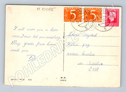 Pohlednice pes kolorovaná z Nizozemska (M10085)