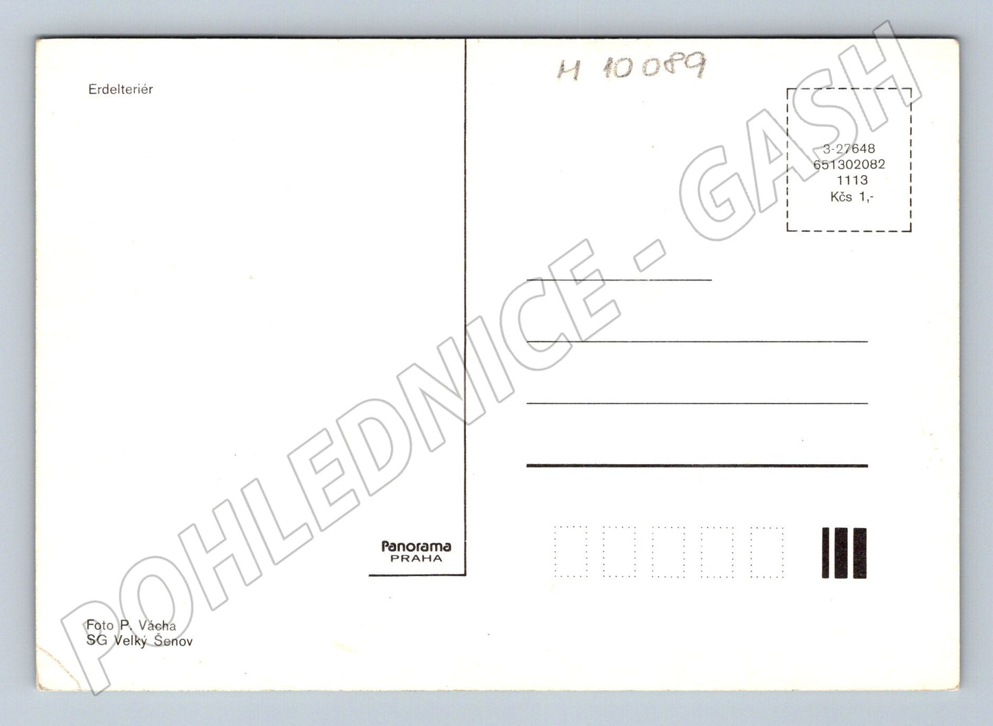 Pohlednice erdelteriér Airedale Panorama Praha (M10089)