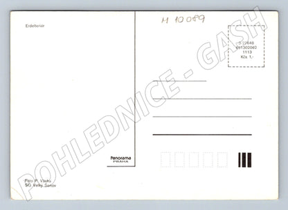 Pohlednice erdelteriér Airedale Panorama Praha (M10089)