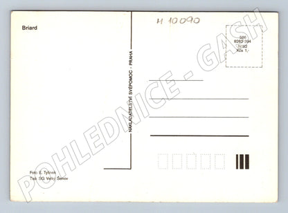 Pohlednice pes Briard Svépomoc Praha 1982 (M10090)