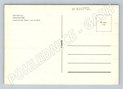 Pohlednice Zverimex úpravna psů Praha koláž (M10092)