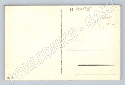 Pohlednice kachny u potůčku ilustrace Švýcarsko (M10095)