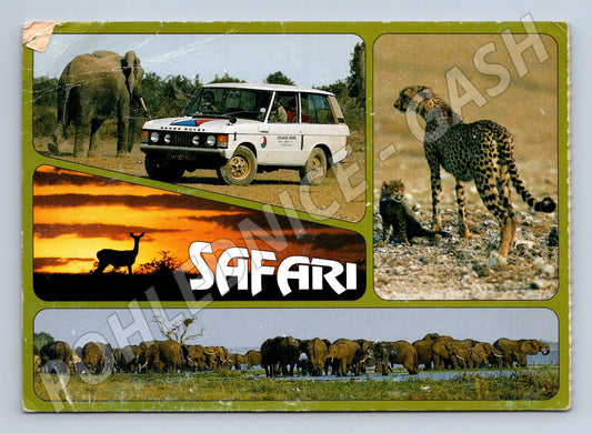 Pohlednice SAFARI Afrika ZOO Dvůr Králové (M10102)