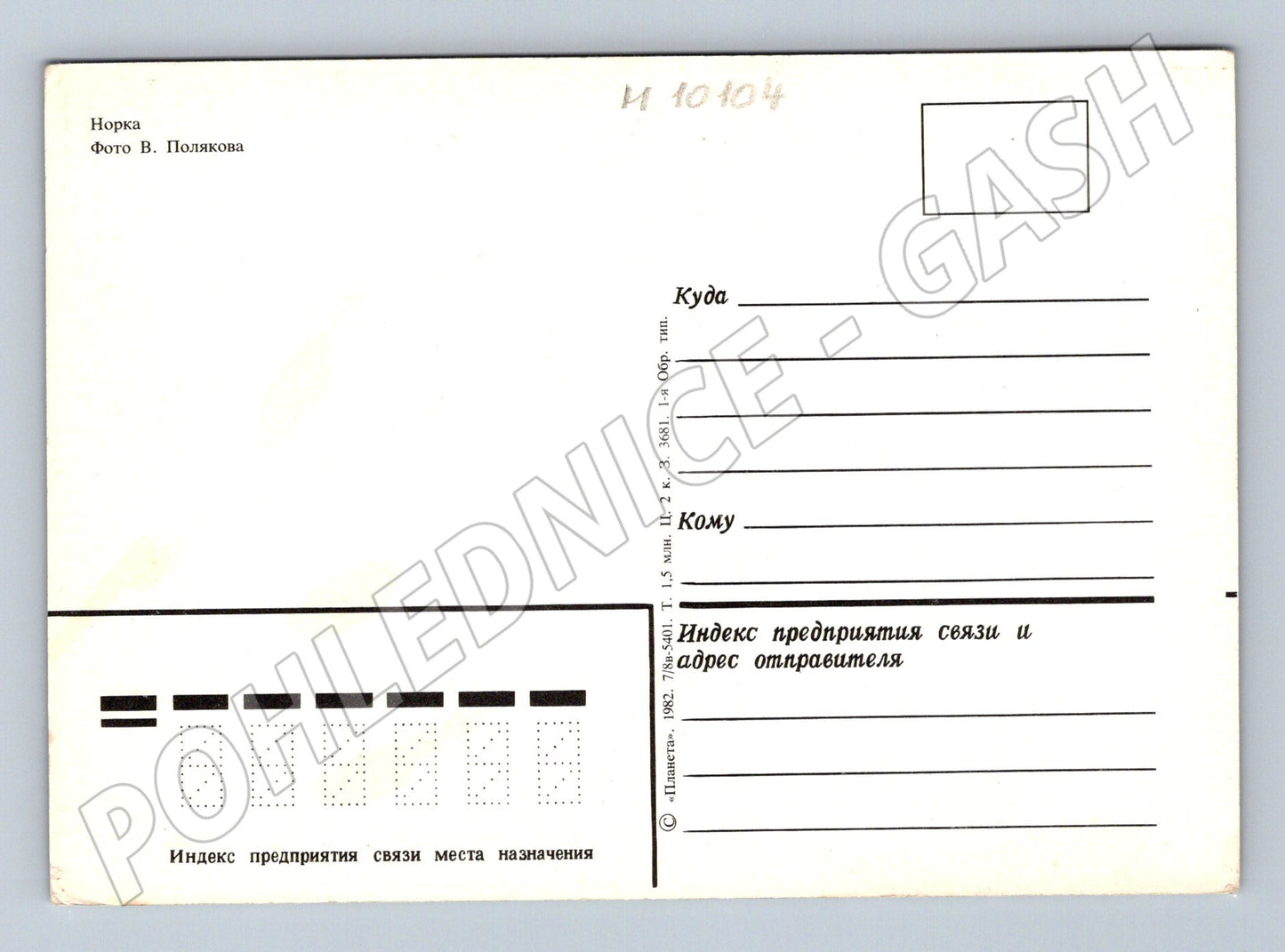 Pohlednice norka bílá SSSR příroda (M10104)