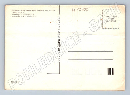 Pohlednice ZOO Dvůr Králové papoušci Ara (M10105)