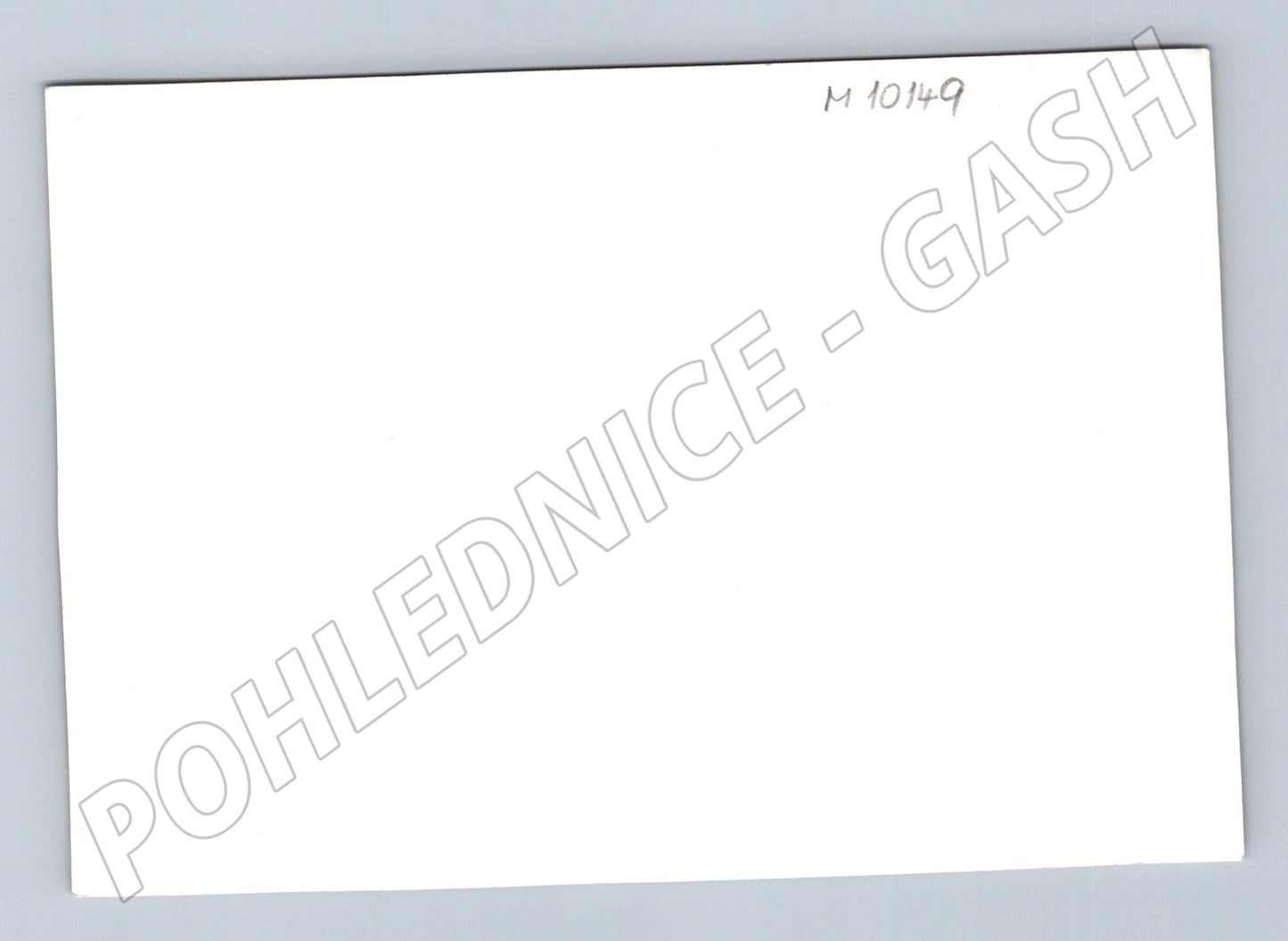 New Paka crowd with banner uniform history (M10149)