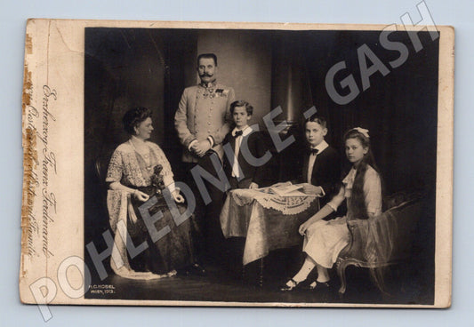Archduke Franz Ferdinand family 1913 (M10171)