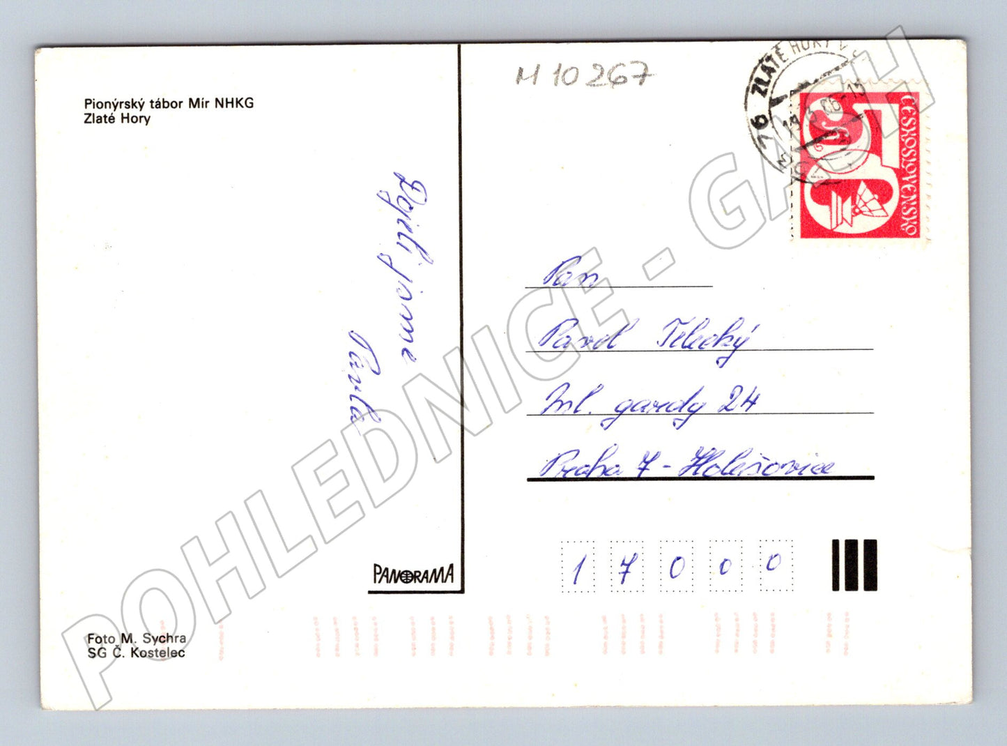 Pohlednice Pionýrský tábor Mír Zlaté Hory (M10267)