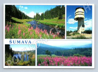 Pohlednice Šumava – rozhledna Poledník (M10343)