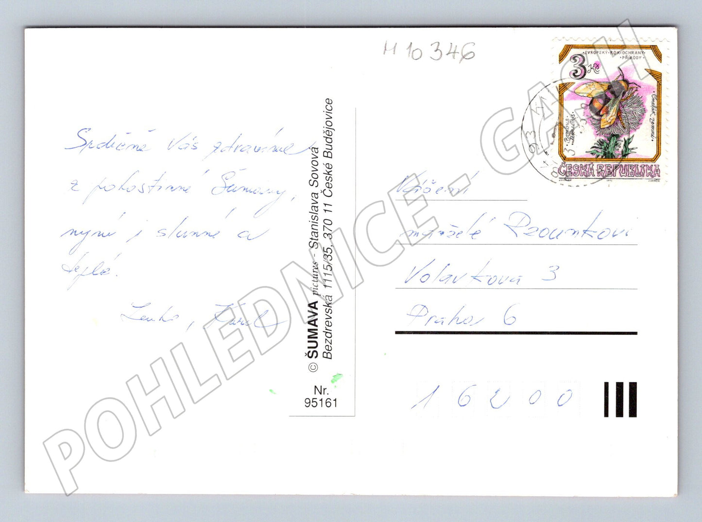 Pohlednice Šumava – Pozdrav ze Šumavy (M10346)