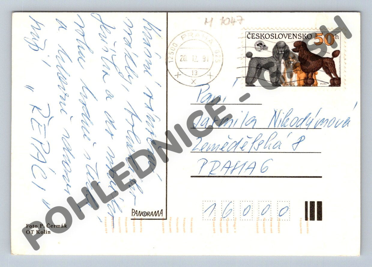 Pohlednice Vánoce ČSSR ozdoba 1991 pudl (M1047)