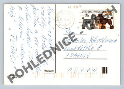 Pohlednice Vánoce ČSSR ozdoba 1991 pudl (M1047)