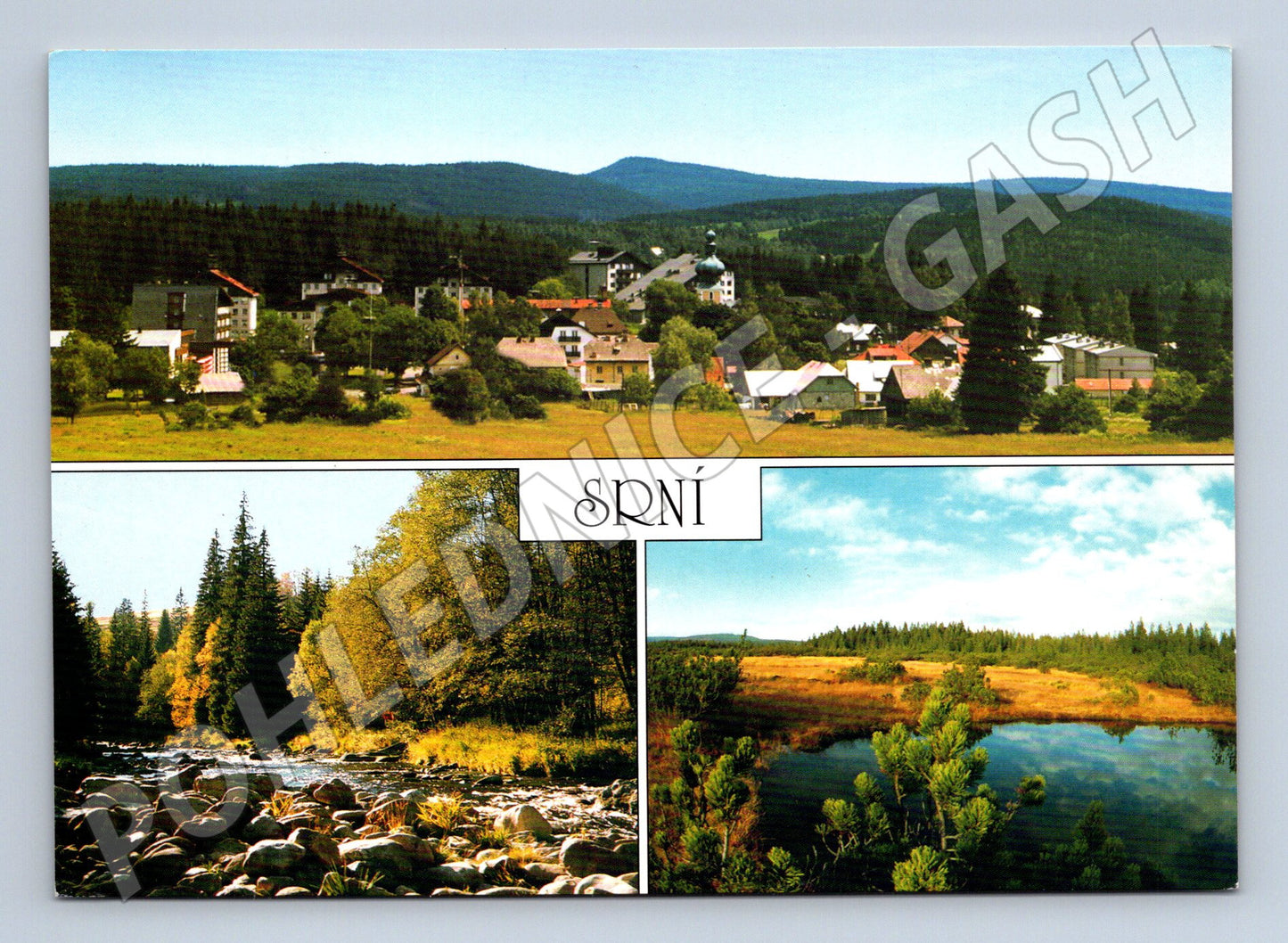 Pohlednice Srní – Šumava, vesnice, 90. léta (M10484)