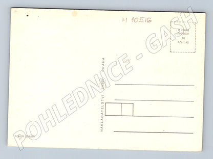 Pohlednice Pozdrav z česání chmele (M10516)