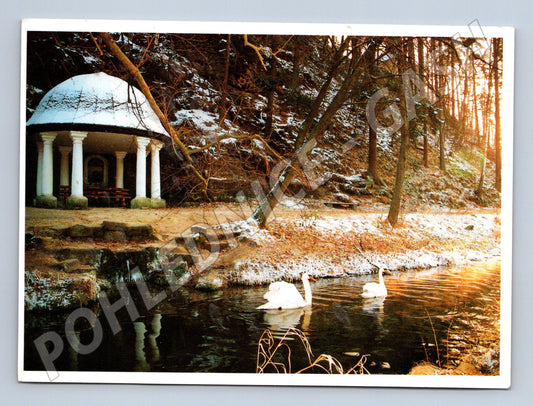 Pohlednice Zdislavina studánka - labutě - zima (M10566)