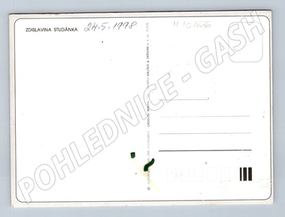 Pohlednice Zdislavina studánka - labutě - zima (M10566)