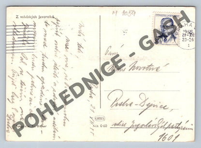 Pohlednice Vánoce 1955 Valašské Javorníky (M1059)