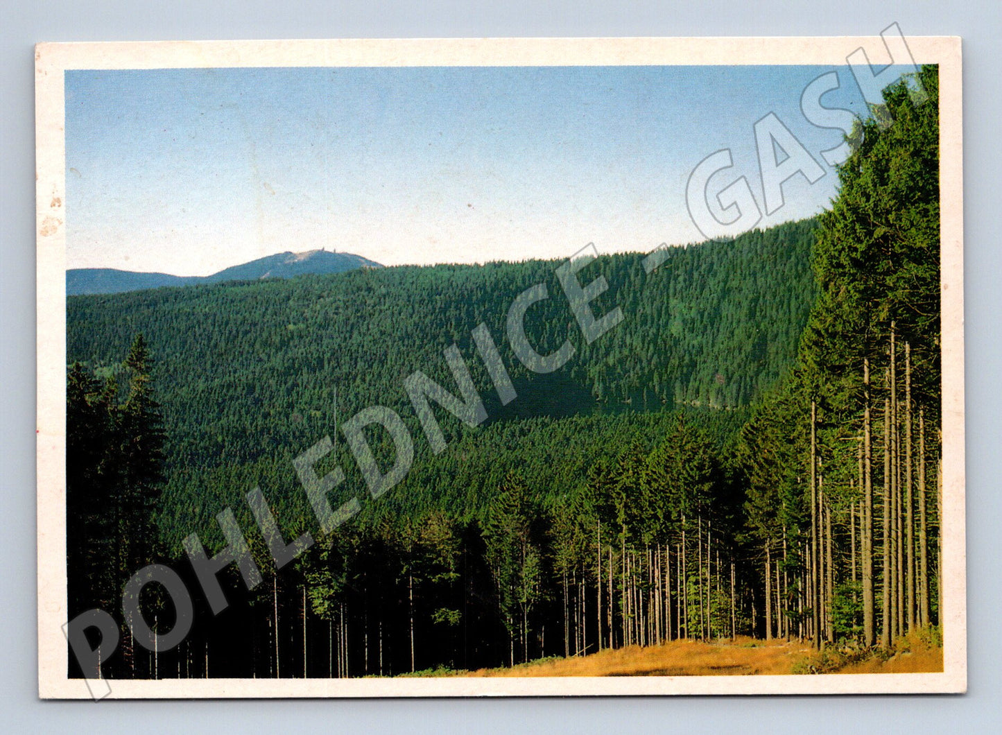 Pohlednice Šumava - Čertovo jezero s Javorem (M10626)