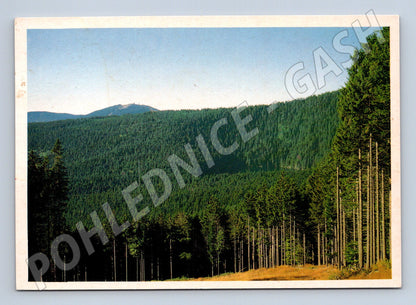 Pohlednice Šumava - Čertovo jezero s Javorem (M10626)