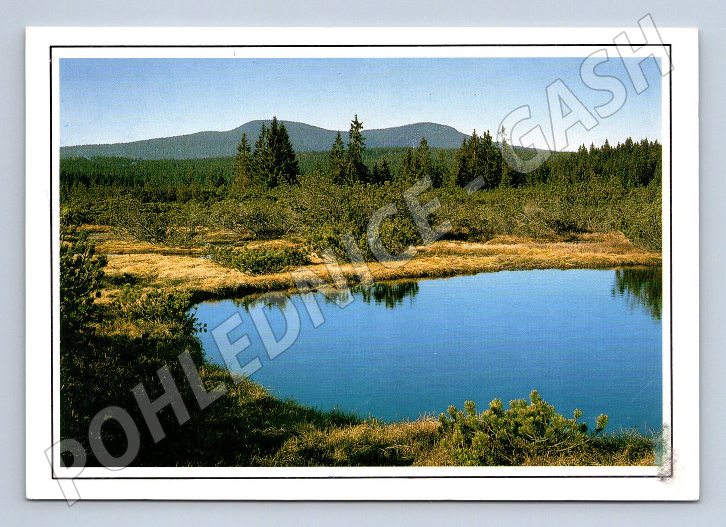 Pohlednice Šumava - Weitfällerské slatě (M10639)