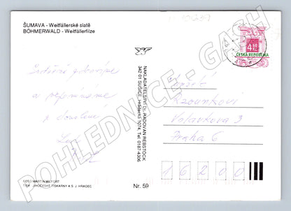 Pohlednice Šumava - Weitfällerské slatě (M10639)
