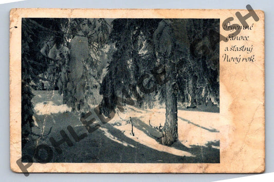Pohlednice Vánoce ČSR zasněžený les (M1066)