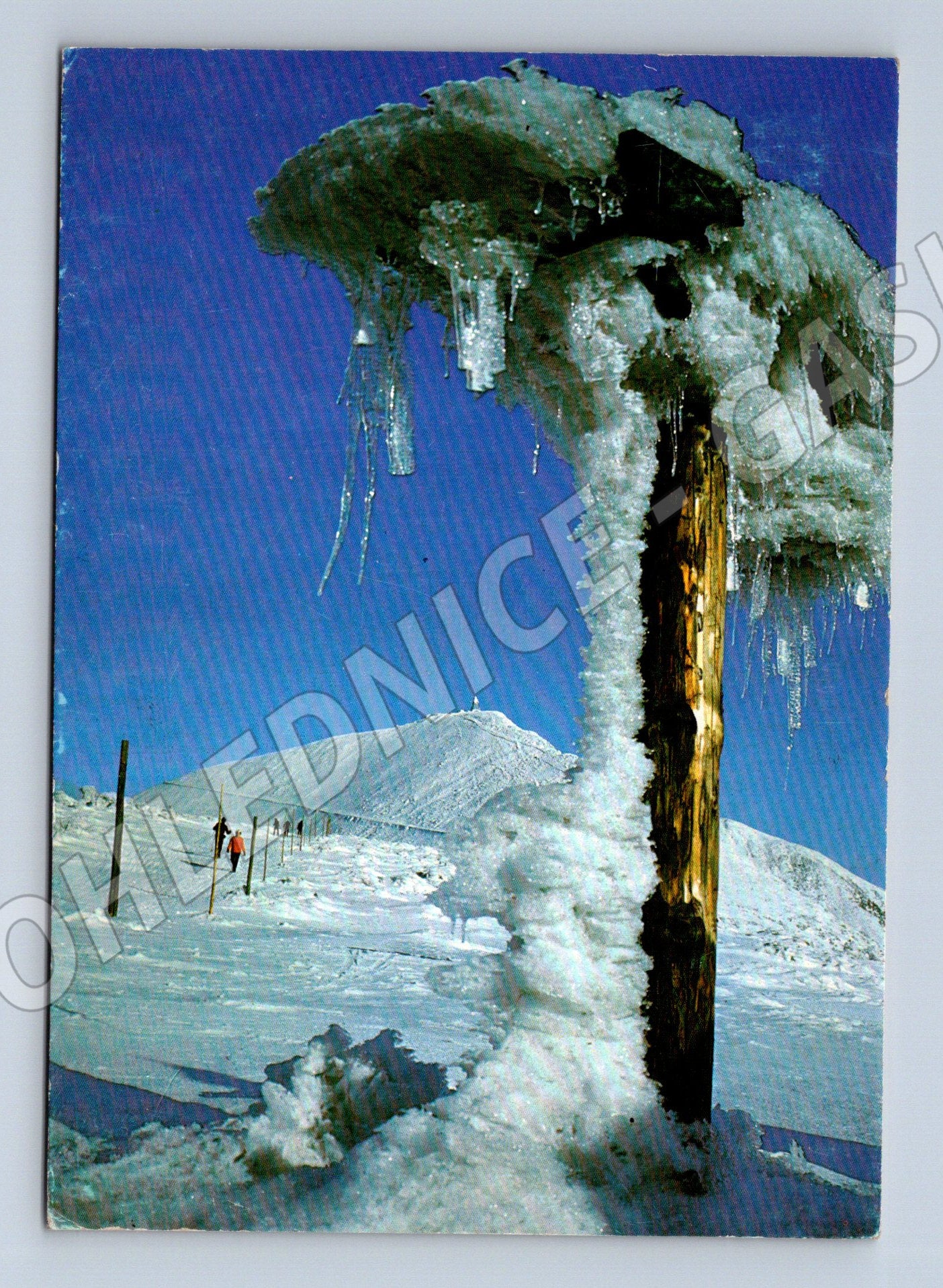 Pohlednice Krkonoše – Sněžka 1602 m, zimní motiv (M10668)