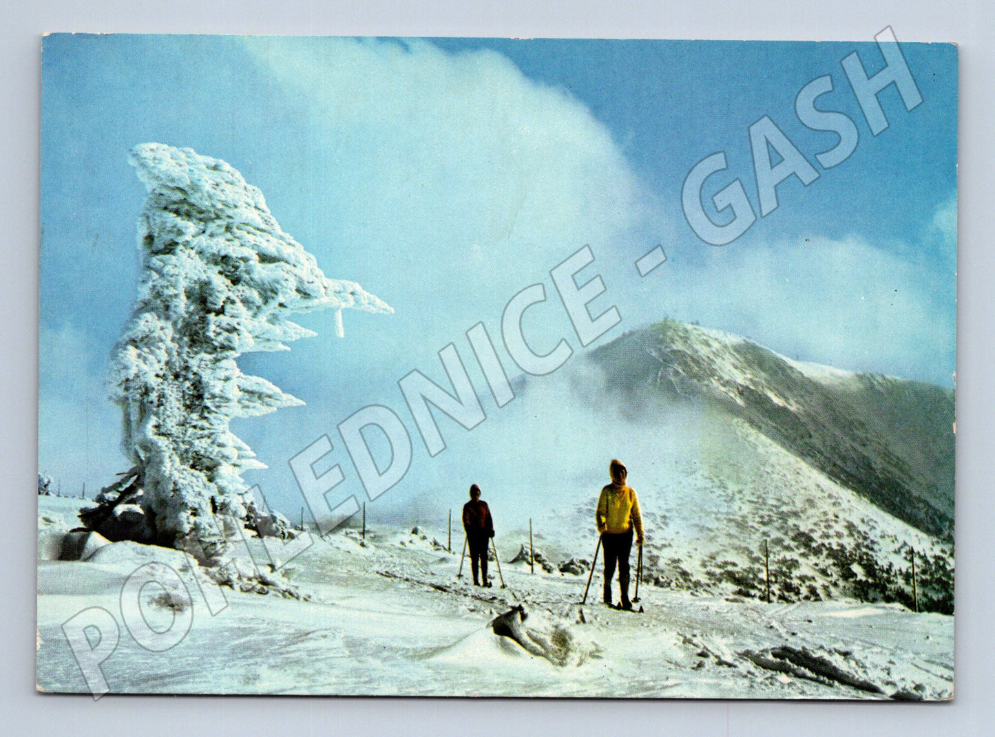 Pohlednice Krkonoše – Sněžka, zimní krajina (M10669)