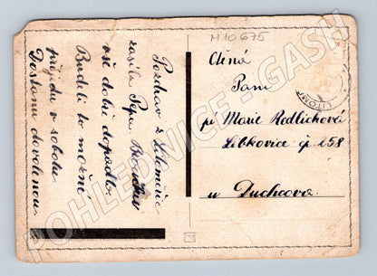 Pohlednice Stará pohlednice Polabí (M10675)