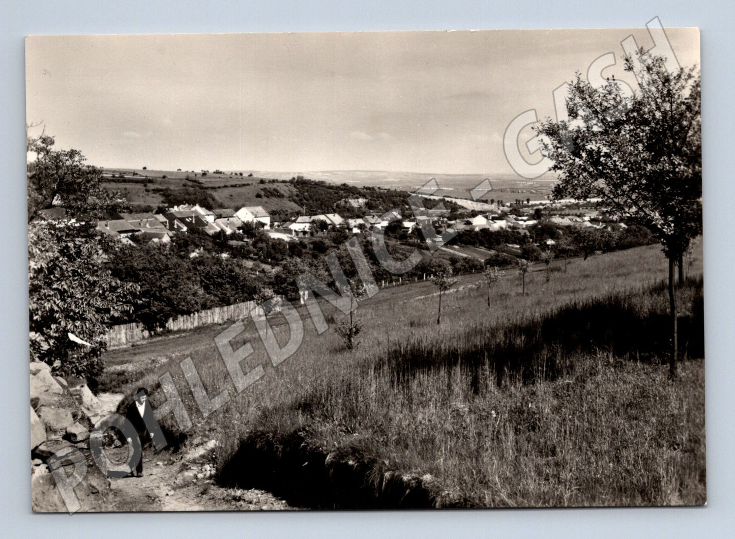 Pohlednice Radslavice - černobílá (M10745)