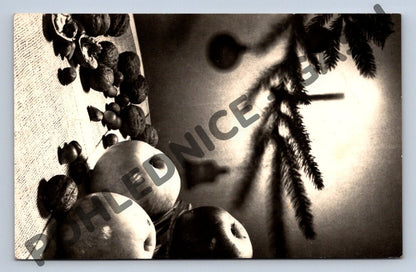 Pohlednice Vánoce ČR 1954 foto F. Bučina (M1081)