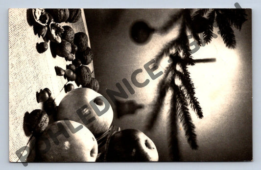 Pohlednice Vánoce ČR 1954 foto F. Bučina (M1081)