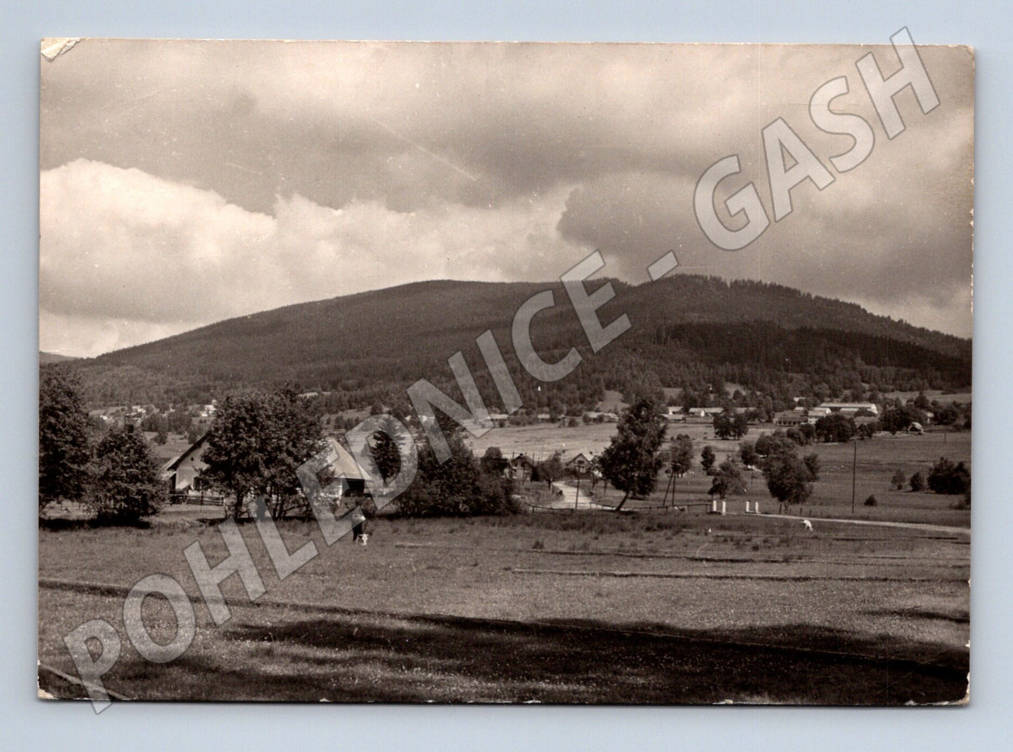 Pohlednice Šumava Lenora Zátoň - Boubín (M10819)
