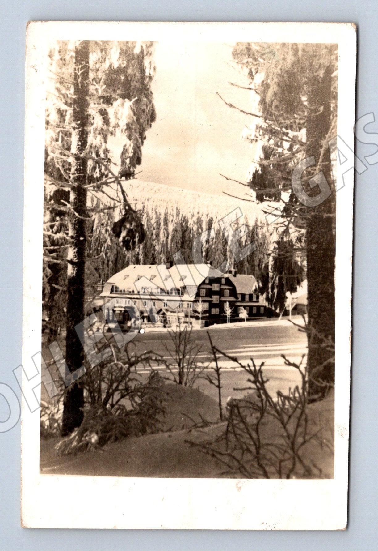 Pohlednice Šerlišský Mlýn, Orlické hory (M10839)