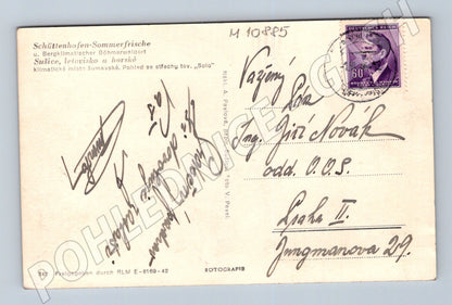 Pohlednice Sušice, Šumava – historická do 1950 (M10885)