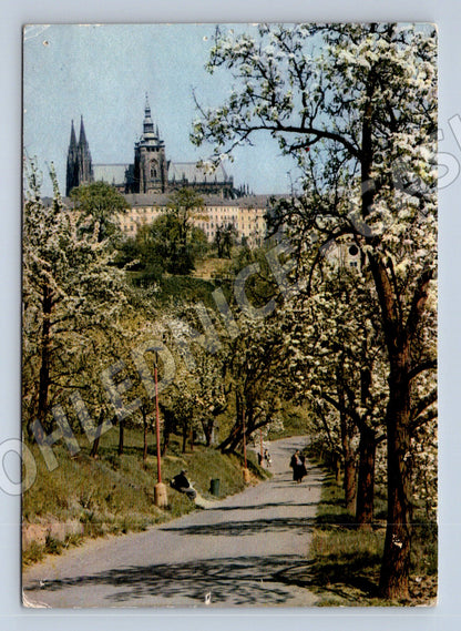 Pohlednice Praha Jaro v Seminářské zahradě - Hrad (M11012)