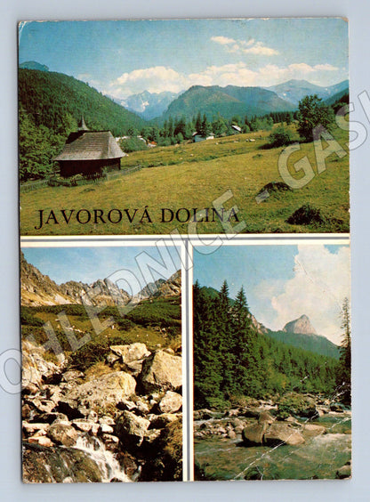 Pohlednice Vysoké Tatry Javorová dolina (M11038)
